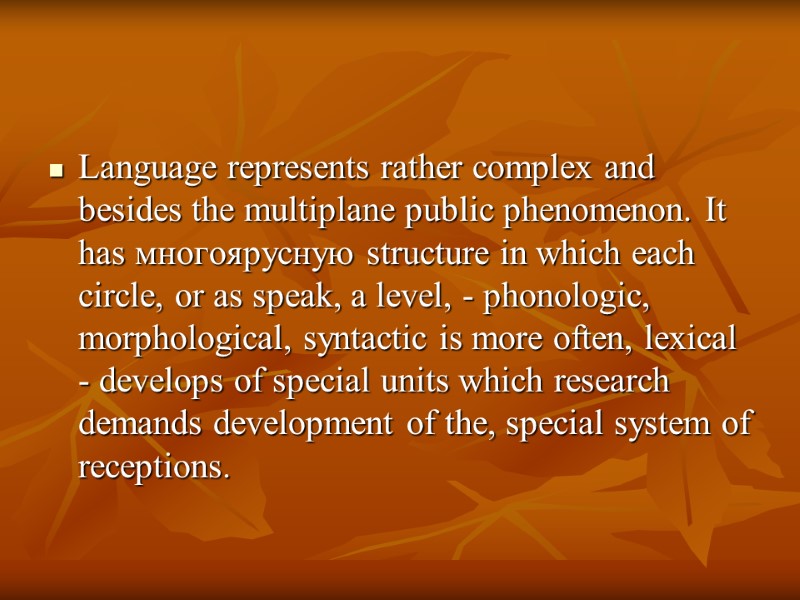 Language represents rather complex and besides the multiplane public phenomenon. It has многоярусную structure